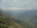 Sequoia NP